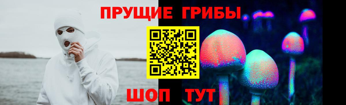 Галлюциногенные грибы GOLDEN TEACHER Новошахтинск